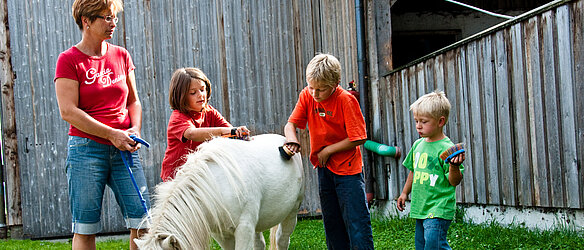 Nach dem Reiten striegeln Kinder unter Anleitung das Pony.
