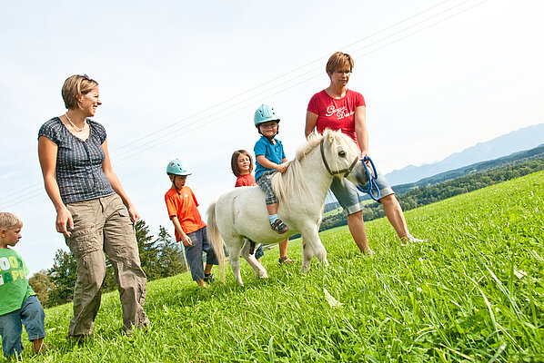 Kinder beim geführten Ponyreiten auf der Wiese.
