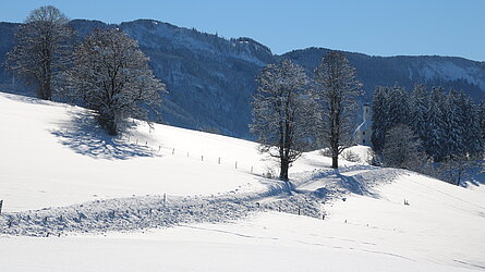 Winterlandschaft bei Steingaden