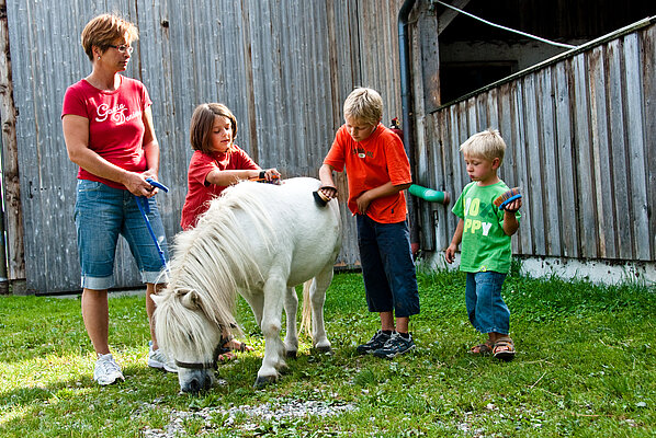 Kinder striegeln unter Anleitung nach dem Reiten ein Pony.