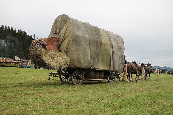 Alter Rottwagen beim Rosstag in Burggen, gezogen von vier Pferden.